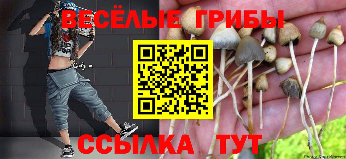 наркота  Псилоцибиновые грибы Psilocybine cubensis  Сухой Лог  Вход с VPN  Галлюциногенные грибы Psilocybe 