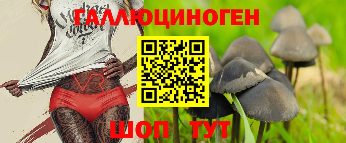 Псилоцибиновые грибы мухоморы Сухой Лог