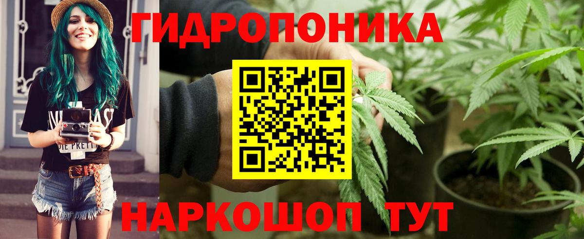 Сухой Лог  Конопля ГИДРОПОН  Канабис семена  Вход с VPN  Шишки марихуана индика 